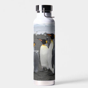 Maak je eigen Antarctische dierenwereld Geïsoleerd Waterfles