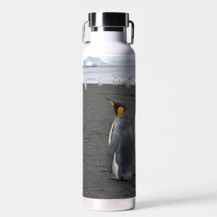 Maak je eigen Antarctische natuur geïsoleerd Waterfles