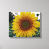 Maak Je Eigen Canvas Muurkunst met Aangepaste Foto Afdruk (Voorkant)