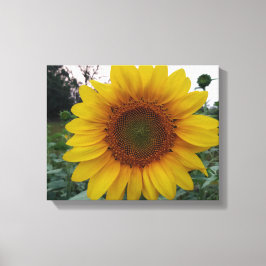 Maak Je Eigen Canvas Muurkunst met Aangepaste Foto Afdruk