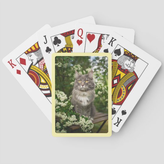 Maak Je Eigen Crème Rand Foto Pokerkaarten (Achterkant)