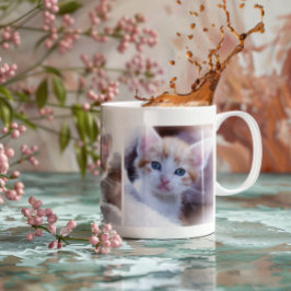 Maak Je Eigen Driegezins Huisdier Foto Grote Koffiekop