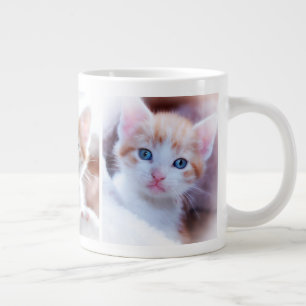 Maak Je Eigen Driegezins Huisdier Foto Grote Koffiekop