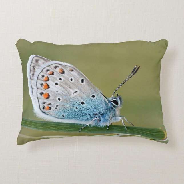 Maak Je Eigen Eenvoudige Aangepaste 13" x 21" Accent Kussen (Voorkant)