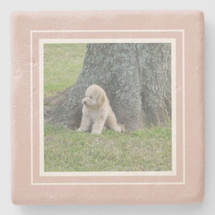 Maak Je Eigen Foto Boerderij Roze & Wit Stenen Onderzetter