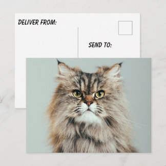 Maak Je Eigen Foto Briefkaart