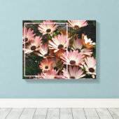 Maak Je Eigen Foto Roze Afrikaanse Margriet Bloeme Canvas Afdruk (Insitu (Houten vloer))