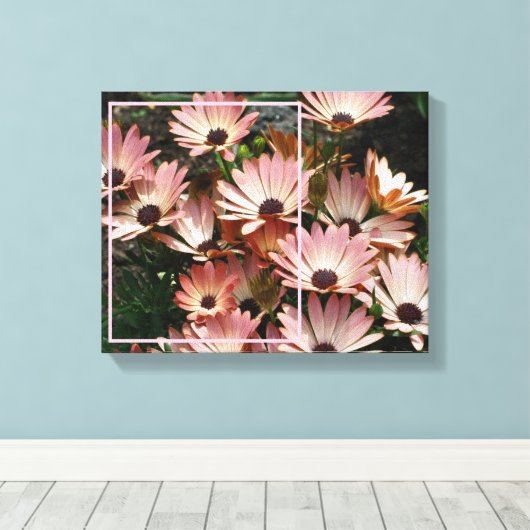 Maak Je Eigen Foto Roze Afrikaanse Margriet Bloeme Canvas Afdruk (Insitu (Houten vloer))