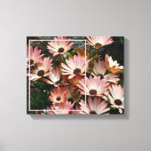 Maak Je Eigen Foto Roze Afrikaanse Margriet Bloeme Canvas Afdruk (Voorkant)