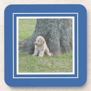 Maak Je Eigen Foto Sjabloon Blauw & Wit Bier Onderzetter