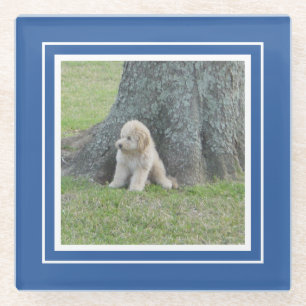 Maak Je Eigen Foto Sjabloon Blauw & Wit Glazen Onderzetter