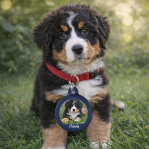 Maak je eigen foto van je hond naam contactgegeven huisdierpenning