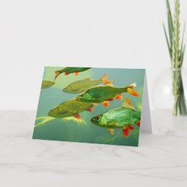 Maak je eigen fotokaart kaart