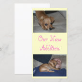 Maak Je Eigen Fotokaarten Aankondiging (Voorkant / Achterkant)