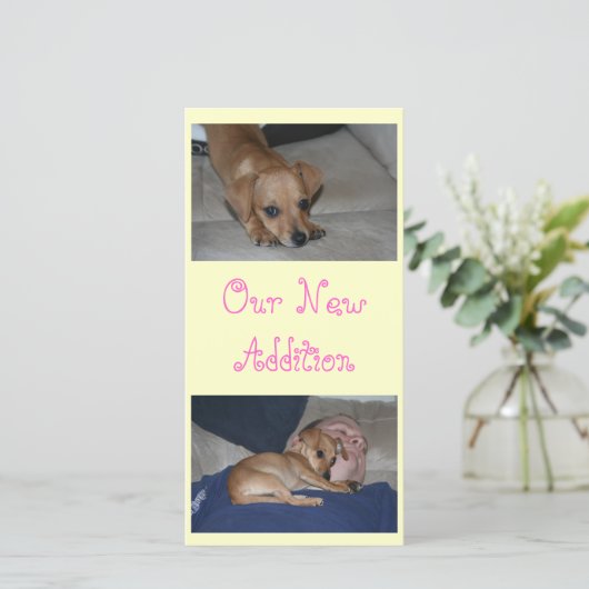 Maak Je Eigen Fotokaarten Aankondiging (Staand voorkant)