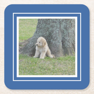 Maak je eigen fotosjabloon blauw en wit kartonnen onderzetters
