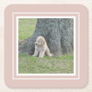 Maak je eigen fototemplate roze en wit kartonnen onderzetters