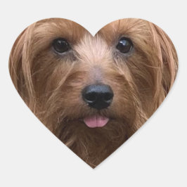 Maak je eigen hondenfoto Aangepaste huisdier Puppy Hart Sticker
