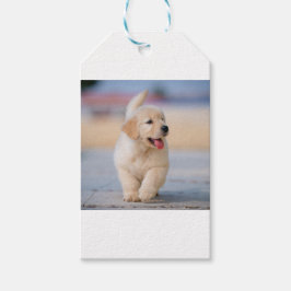 Maak je eigen huisdier cadeaulabel