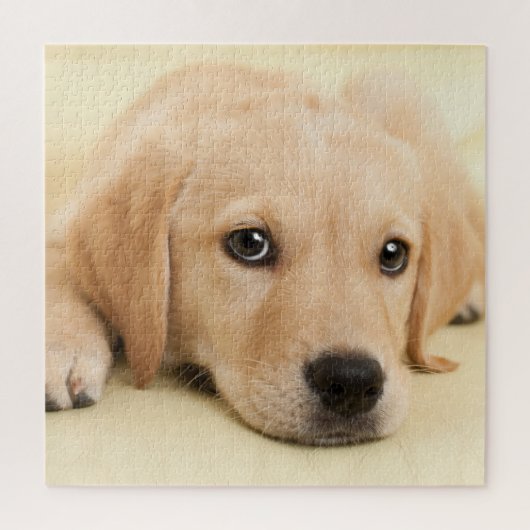 Maak Je Eigen Huisdier Foto Aangepaste Afbeelding Legpuzzel (Verticaal)