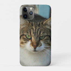 Maak Je Eigen Huisdier Foto Aangepaste Foto Cadeau Case-Mate iPhone Case