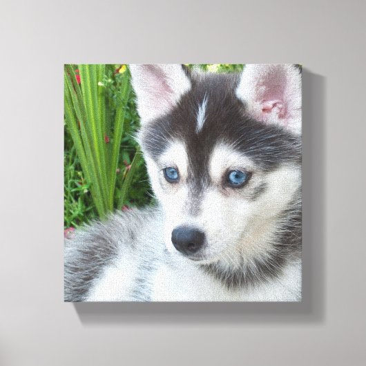 Maak Je Eigen Huisdier Foto Aangepaste Foto Canvas Afdruk (Voorkant)