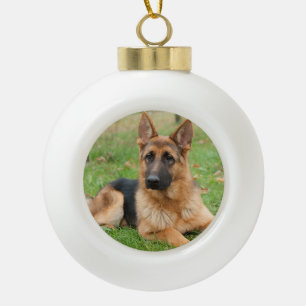 Maak Je Eigen Huisdier Foto Aangepaste Foto Keramische Bal Ornament