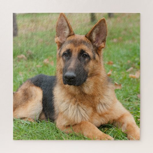Maak Je Eigen Huisdier Foto Aangepaste Foto Legpuzzel (Verticaal)