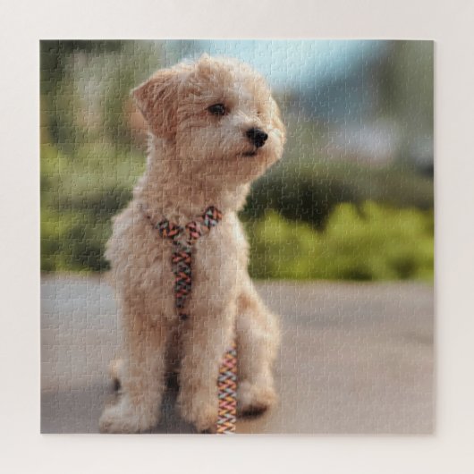 Maak Je Eigen Huisdier Foto Aangepaste Foto Legpuzzel (Verticaal)