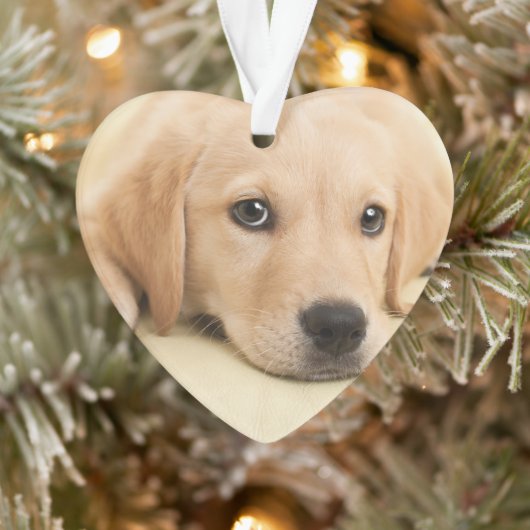 Maak Je Eigen Huisdier Foto Aangepaste Foto Ornament (Boom)