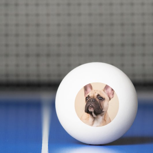 Maak Je Eigen Huisdier Foto Aangepaste Foto Pingpongbal (Net)