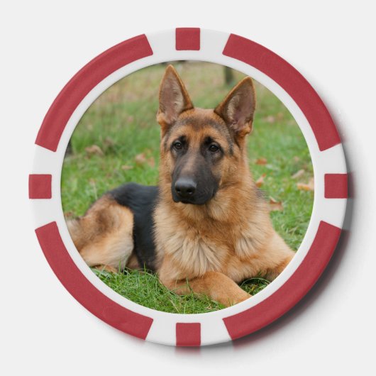 Maak Je Eigen Huisdier Foto Aangepaste Foto Poker Chips (Voorkant)