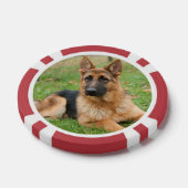 Maak Je Eigen Huisdier Foto Aangepaste Foto Poker Chips (Enkel)