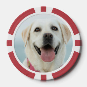 Maak Je Eigen Huisdier Foto Aangepaste Foto Poker Chips