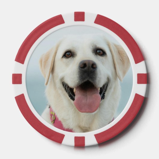 Maak Je Eigen Huisdier Foto Aangepaste Foto Poker Chips (Voorkant)
