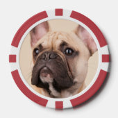 Maak Je Eigen Huisdier Foto Aangepaste Foto Poker Chips (Voorkant)