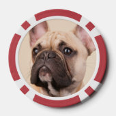 Maak Je Eigen Huisdier Foto Aangepaste Foto Poker Chips (Achterkant)