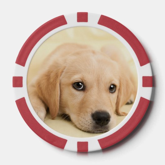 Maak Je Eigen Huisdier Foto Aangepaste Foto Poker Chips (Voorkant)