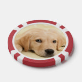 Maak Je Eigen Huisdier Foto Aangepaste Foto Poker Chips (Enkel)