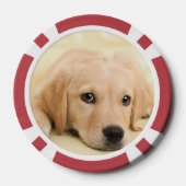 Maak Je Eigen Huisdier Foto Aangepaste Foto Poker Chips (Achterkant)
