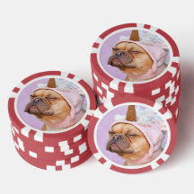 Maak Je Eigen Huisdier Foto Aangepaste Foto