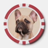 Maak Je Eigen Huisdier Foto Aangepaste Foto Poker Chips (Voorkant)
