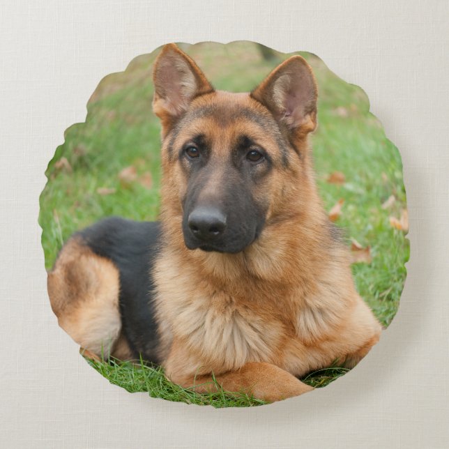 Maak Je Eigen Huisdier Foto Aangepaste Foto Rond Kussen (Voorkant)
