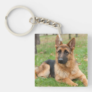 Maak Je Eigen Huisdier Foto Aangepaste Foto Sleutelhanger