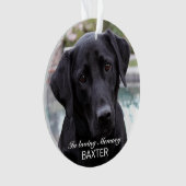 Maak Je Eigen Huisdier Herdenkingsfoto Ornament (voorkant)