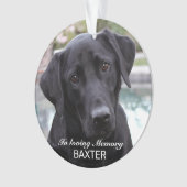 Maak Je Eigen Huisdier Herdenkingsfoto Ornament (voorkant)
