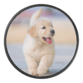 Maak je eigen huisdier hockey puck