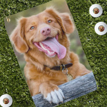 Maak Je Eigen Huisdier Hond Foto