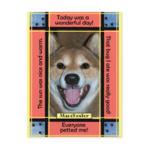 Maak Je Eigen Huisdier Hond Kat Foto Grappige Teks