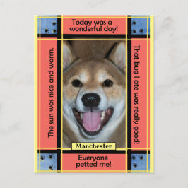 Maak Je Eigen Huisdier Hond Kat Foto Grappige Teks Briefkaart